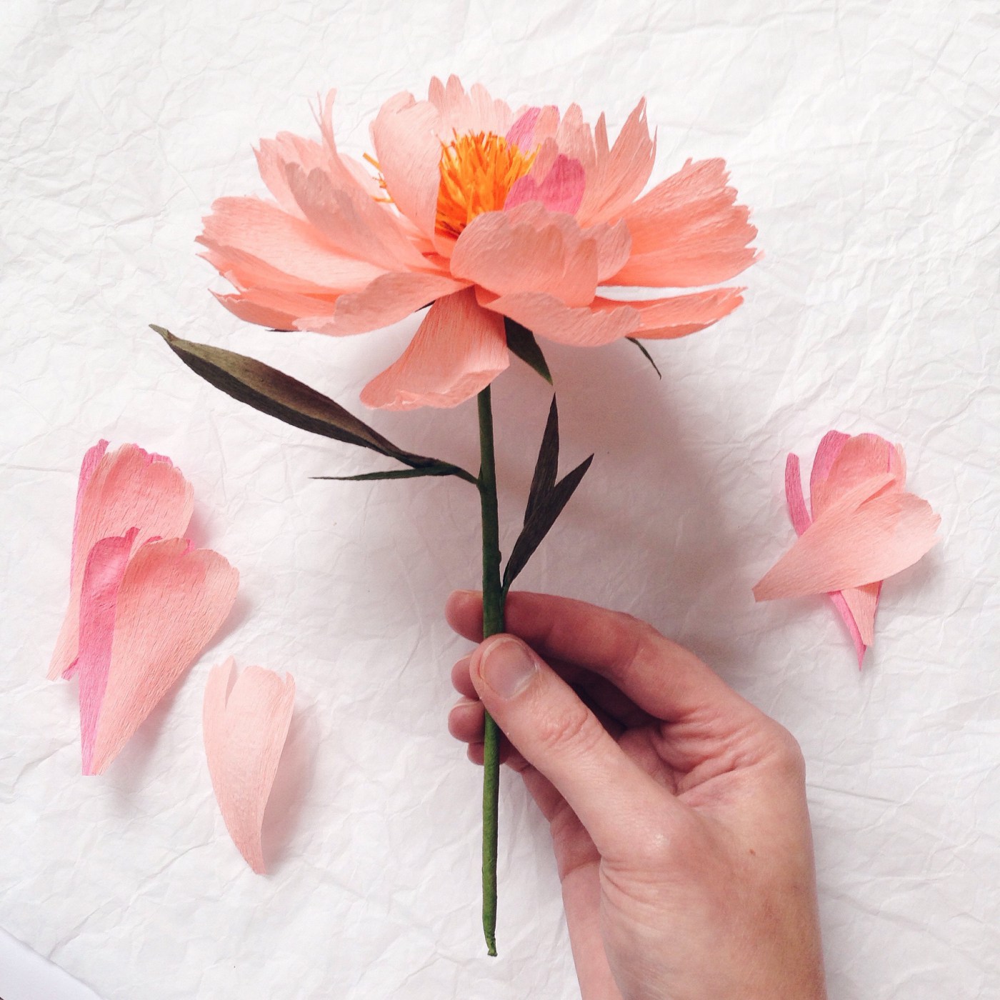 DIY Paper Flowers Tutorial | How to Make Paper Flowers
